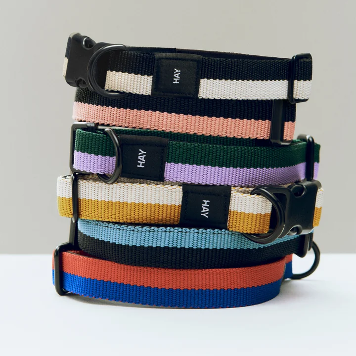 HAY - Dogs Colliers pour chiens
