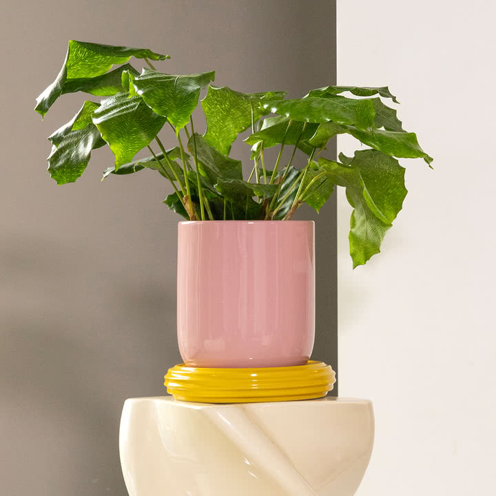 & klevering - Churros Pot de fleurs, Ø 19,5 x 21 cm, blush / jaune