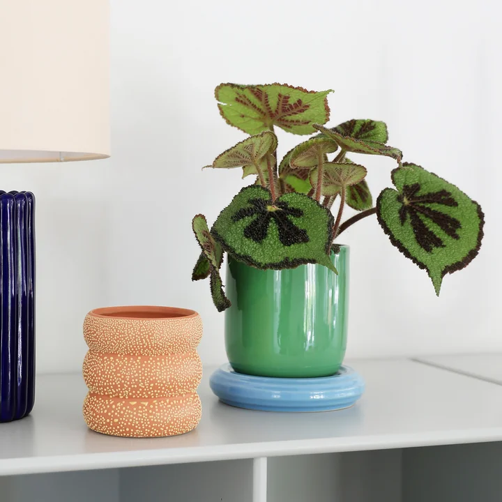 & klevering - Churros Pot de fleurs, Ø 14,5 x 15 cm, vert / bleu