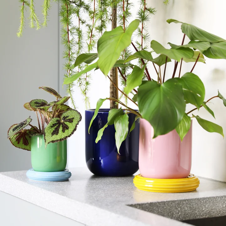 & klevering - Churros Pots de fleurs