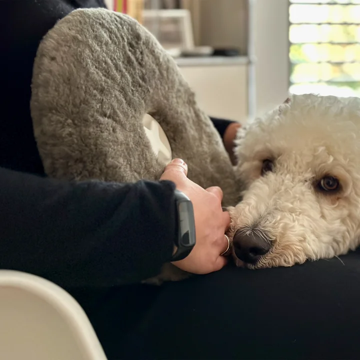 Authentics - Pill bouillotte, peau de mouton, anthracite