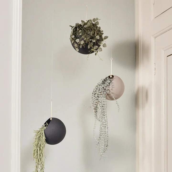 AYTM - Globe Pots de fleurs suspendus