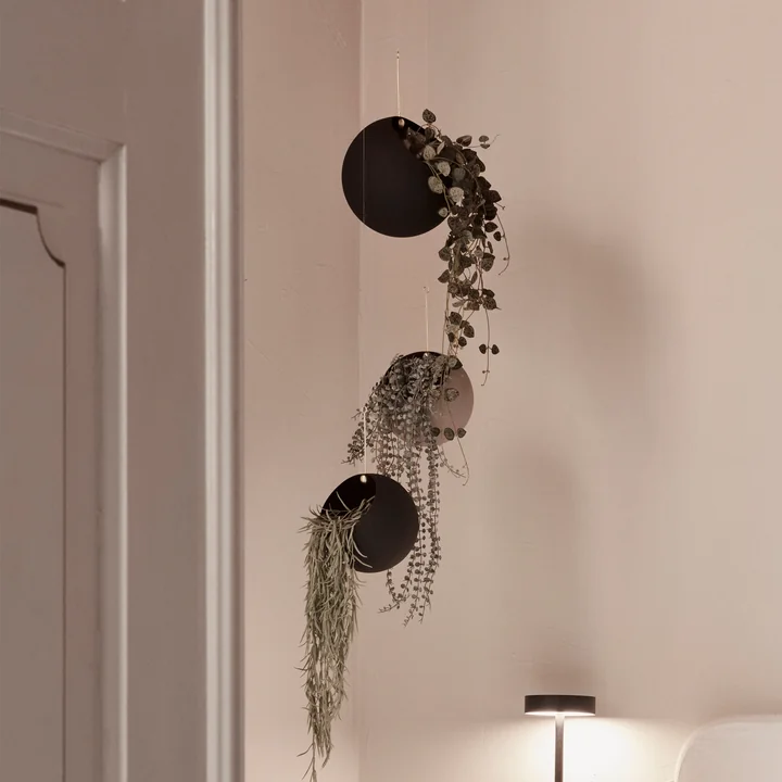 AYTM - Globe Pots de fleurs suspendus