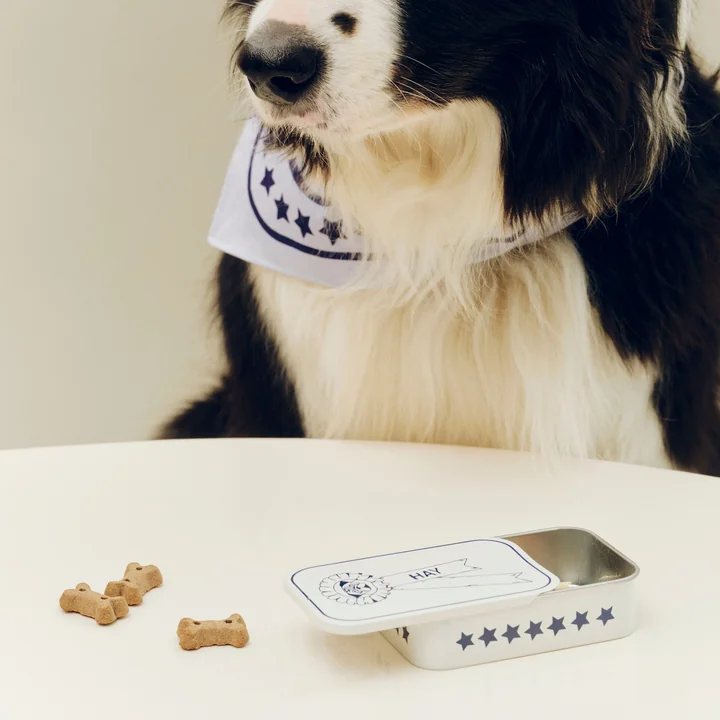 HAY - Dogs boîte à friandises S, bleu / blanc