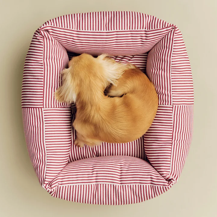HAY - Lit pour chien, Zip, XS, rouge / rayures blanches
