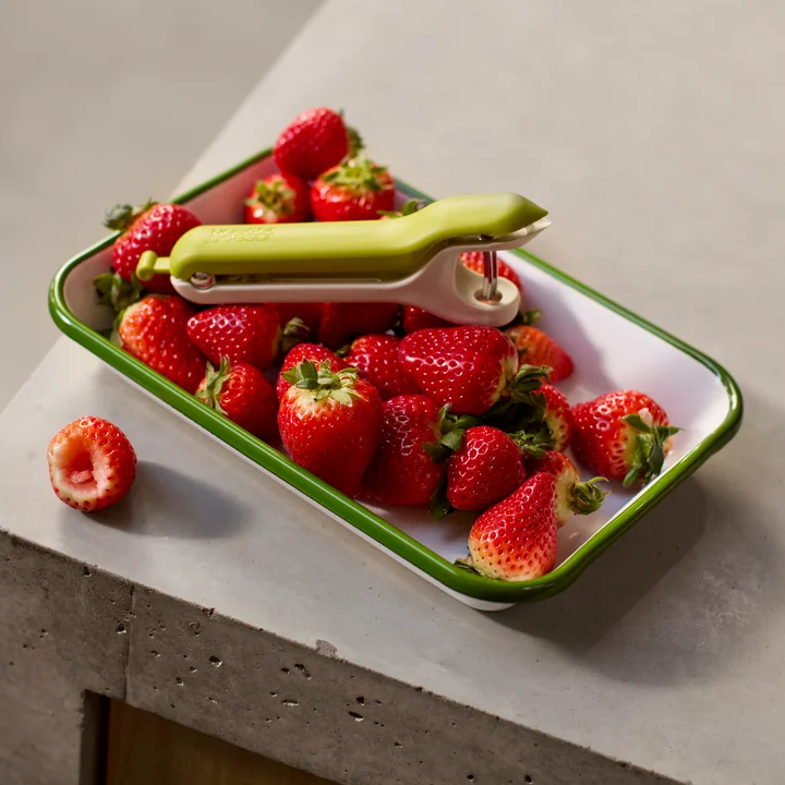 Joseph Joseph - Tweezy Épierreur 2 en 1, stone / green