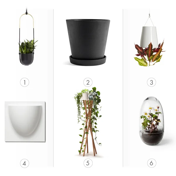 Pots de fleurs : types, formes et tailles