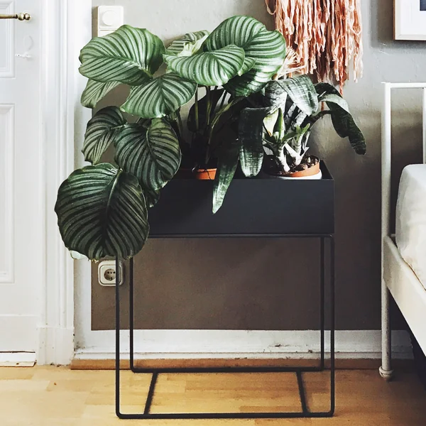 Ferm Living - Plant Box, schwarz