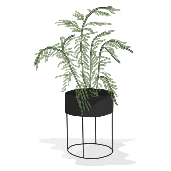 ferm Living _ Plant Box - rond - noir - aquarelle