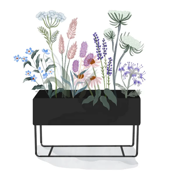 ferm Living _ Plant Box - grand - noir - aquarelle