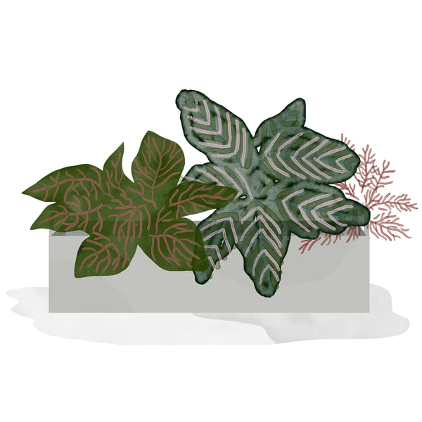 ferm Living - Plant Box petit-gris clair - aquarelle - plante mosaïque